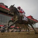 Making Sense of Cloud Computing’s Preakness Stakes Victory